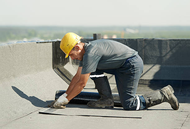 Best Spray Foam Insulation in Wildwood Lake, TN