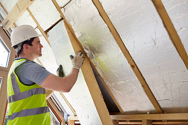 Best Cellulose Insulation in Wildwood Lake, TN